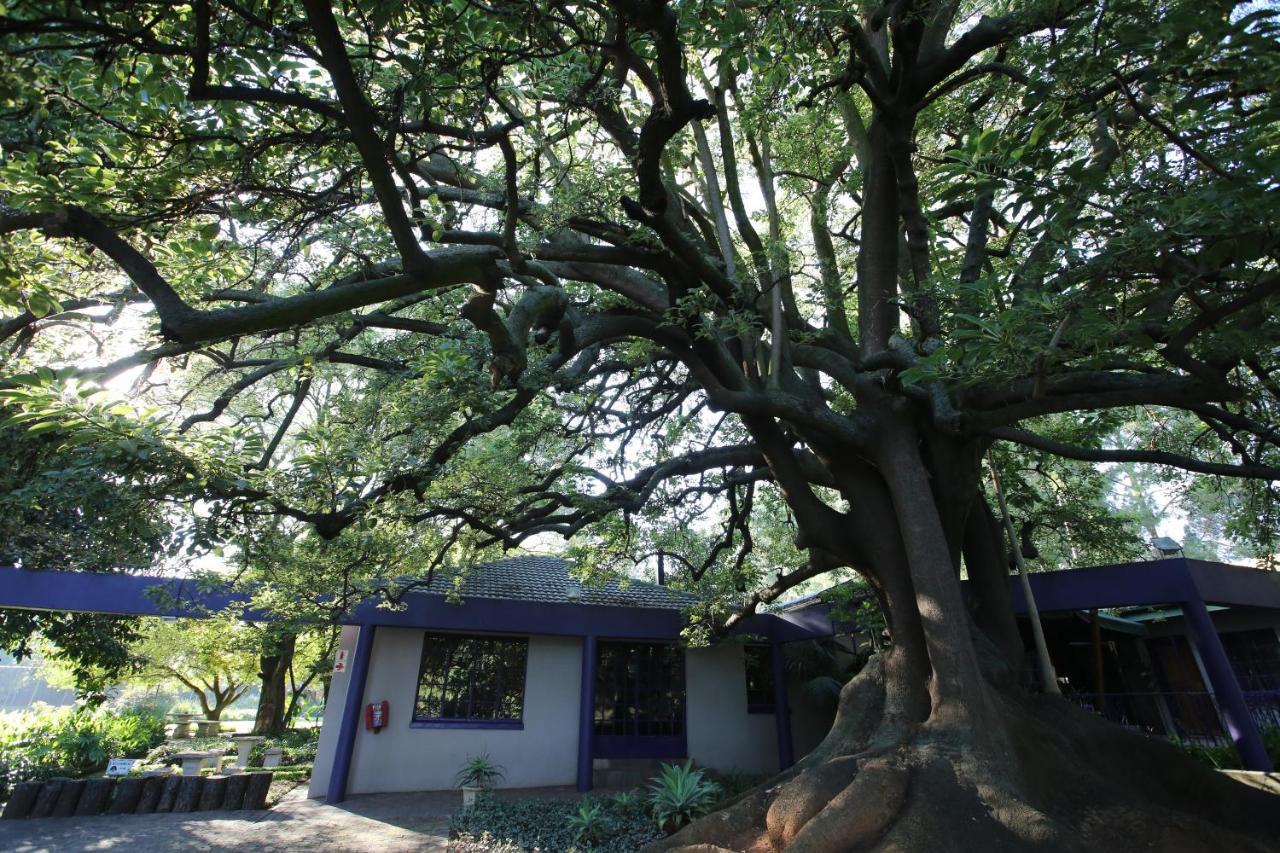 Big Tree Midrand Hotel ภายนอก รูปภาพ